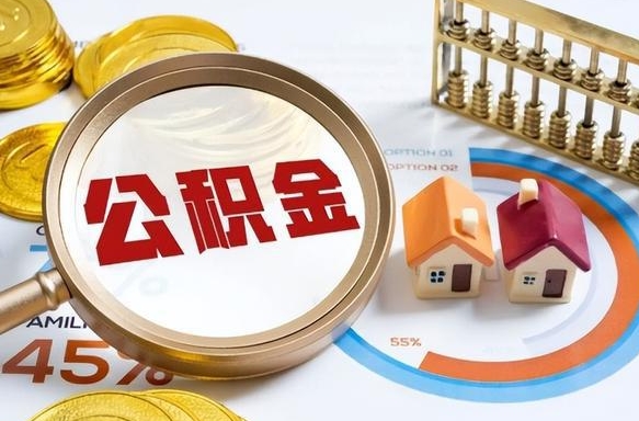 新野公积金是我自己随便用吗（公积金都是个人自己出吗）